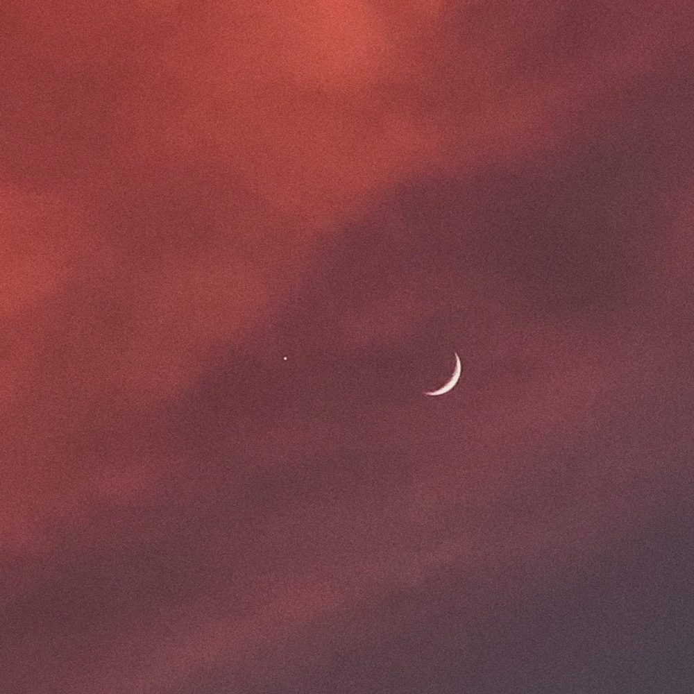 Meet your Posher, Celine